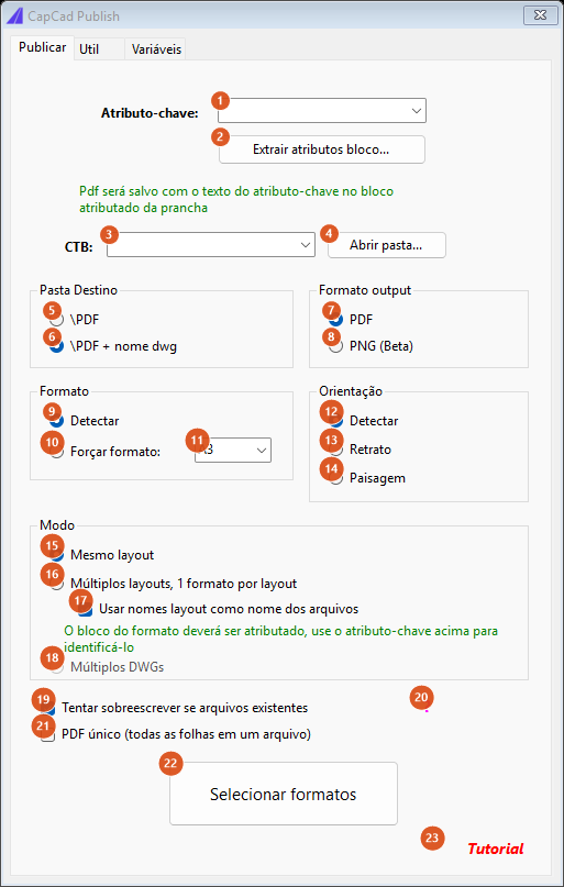 CapCad Publish, Publish tab